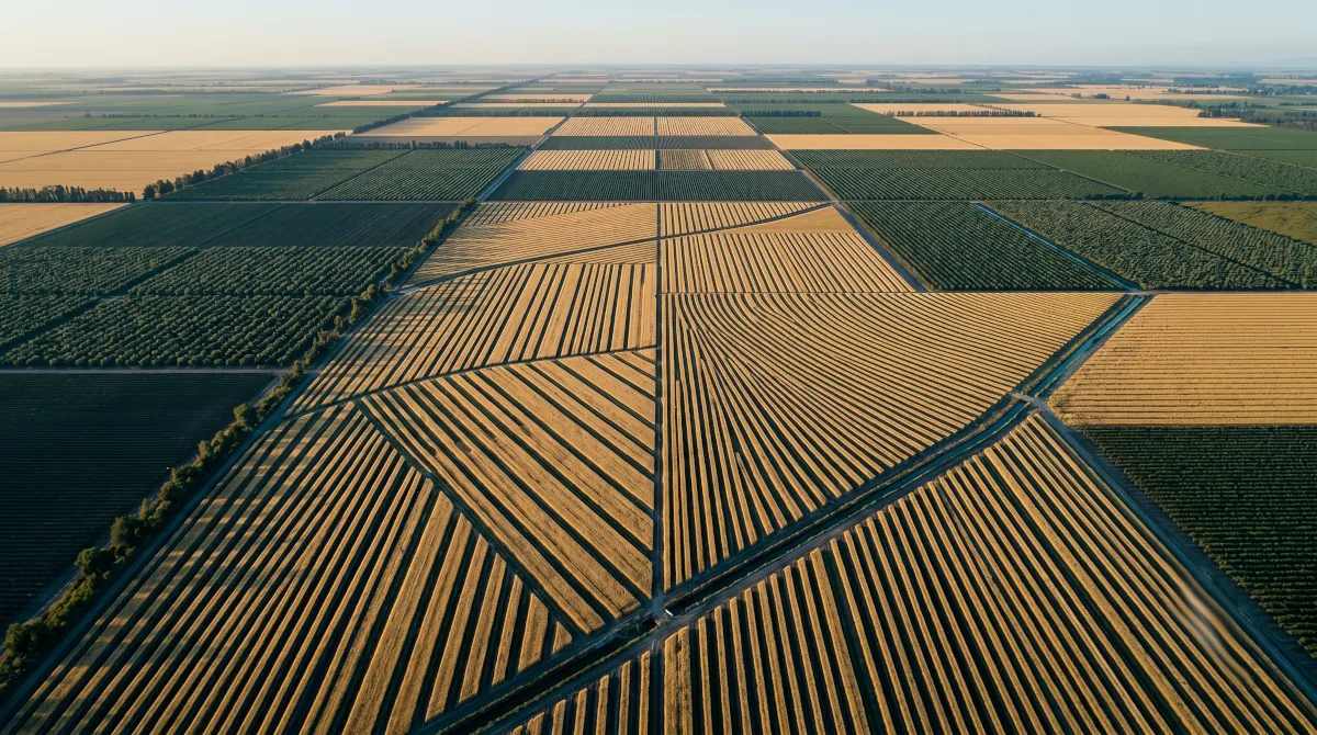Agricultura